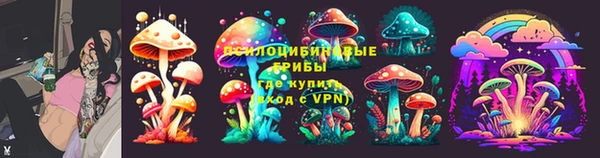 дурь Дмитровск