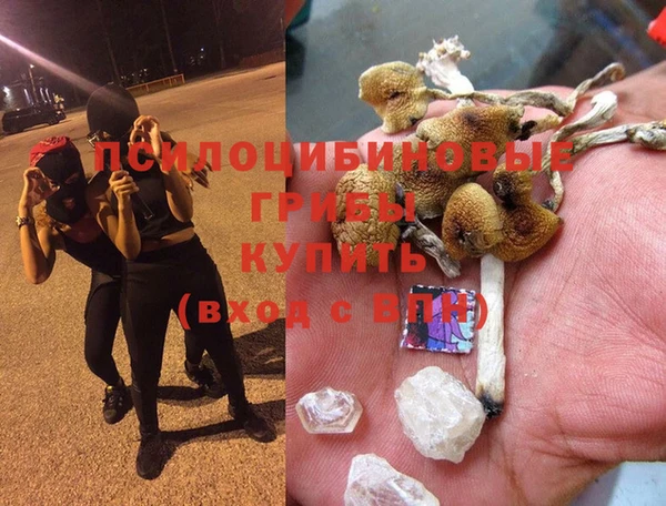 гашик Дмитриев