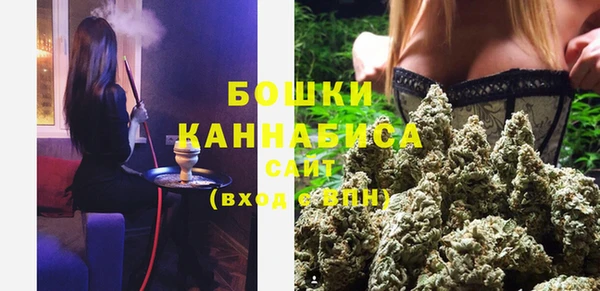 гашик Дмитриев