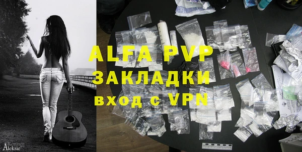 гашик Дмитриев