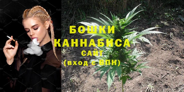 гашик Дмитриев