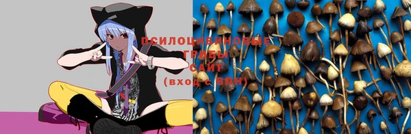 дурь Дмитровск